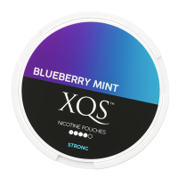 XQS Blueberry Mint Strong