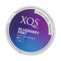 XQS Blueberry Mint 4mg