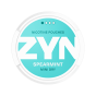 ZYN Spearmint Mini Dry