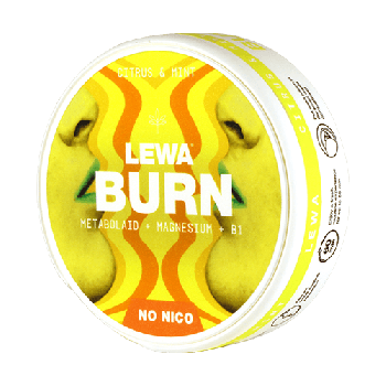 LEWA BURN Citrus & Mint