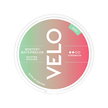 VELO Wintery Watermelon Mini