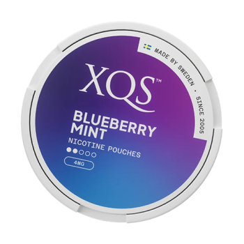 XQS Blueberry Mint 4mg